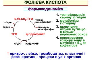 ФОЛІЄВА КИСЛОТА
фармакодинаміка
5,10-СН2-ТГФ
ТГФ дігідрофолат
урідін-
монофосфат
тимідин-
монофосфат
НАДФН+Н+
НАДФ
серин
гліцин
1. трансформація
серину в гліцин
2. метаболізм
гістидину
3. включення
атомів вуглецю
в кільце
пурінових основ
4. перетворення
гомоцистеїну в
метіонін з В12 як
кофактора
↑ еритро-, лейко, тромбоцитоз, пластичні і
регенеративні процеси в усіх органах
 