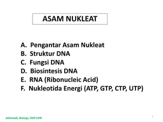 1
Akhmadi, Biologi, FKIP UPR
ASAM NUKLEAT
A. Pengantar Asam Nukleat
B. Struktur DNA
C. Fungsi DNA
D. Biosintesis DNA
E. RNA (Ribonucleic Acid)
F. Nukleotida Energi (ATP, GTP, CTP, UTP)
 