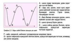 11 анги соёл.pptx