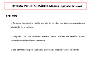 REFLEXO
o Resposta involuntária rápida, consciente ou não, que visa uma proteção ou
adaptação do organismo;
o Originado de um estímulo externo antes mesmo do cérebro tomar
conhecimento do estímulo periférico;
o São comandados pela substância cinzenta da medula espinal e do bulbo.
SISTEMA MOTOR SOMÁTICO: Medula Espinal e Reflexos
 
