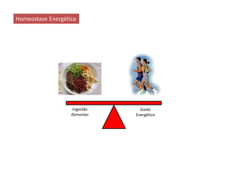 Ingestão
Alimentar
Gasto
Energético
Homeostase Energética
 