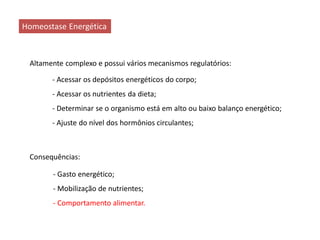 Homeostase Energética
Altamente complexo e possui vários mecanismos regulatórios:
- Acessar os depósitos energéticos do corpo;
- Acessar os nutrientes da dieta;
- Determinar se o organismo está em alto ou baixo balanço energético;
- Ajuste do nível dos hormônios circulantes;
- Gasto energético;
- Mobilização de nutrientes;
- Comportamento alimentar.
Consequências:
 