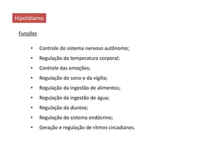 • Controle do sistema nervoso autônomo;
• Regulação da temperatura corporal;
• Controle das emoções;
• Regulação do sono e da vigília;
• Regulação da ingestão de alimentos;
• Regulação da ingestão de água;
• Regulação da diurese;
• Regulação do sistema endócrino;
• Geração e regulação de ritmos circadianos.
Hipotálamo
Funções
 