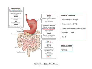 Sinais de saciedade
• Distensão (nervo vago)
• Colecistocinina (CCK)
• Polipancreático pancreático(PPP)
• Peptídeo YY (PYY)
• GLP-1
Sinais de fome
• Grelina
Hormônios Gastrointestinais
 