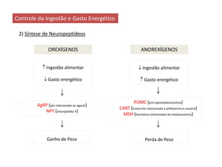 Controle da Ingestão e Gasto Energético
2) Síntese de Neuropeptídeos
OREXÍGENOS ANOREXÍGENOS
 Ingestão alimentar
 Gasto energético
 Ingestão alimentar
 Gasto energético
Ganho de Peso Perda de Peso
AgRP (ptn relacionada ao agouti)
NPY (neuroptídeo Y)
POMC (pró-opiomelanocortina)
CART (transcrito relacionado a anfetamina e cocaína)
MSH (hormônio estimulador da melanocortina)
 