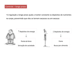 Controle – longo prazo
• A regulação a longo prazo ajuda a manter constante os depósitos de nutrientes
no corpo, prevenindo que eles se tornem excassos ou em excesso
 Depósitos de energia
Fome
Busca por alimento
 Depósitos de energia
Perda da fome
Sensação de saciedade
 