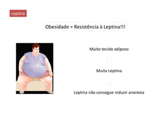 Leptina
Obesidade = Resistência à Leptina!!!
Muito tecido adiposo
Muita Leptina
Leptina não consegue induzir anorexia
 