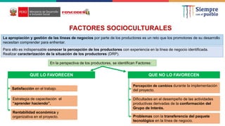 FACTORES SOCIOCULTURALES
La apropiación y gestión de las líneas de negocios por parte de los productores es un reto que los promotores de su desarrollo
necesitan comprender para enfrentar.
Para ello es indispensable conocer la percepción de los productores con experiencia en la línea de negocio identificada.
Realizar caracterización de la situación de los productores (DRP).
En la perspectiva de los productores, se identifican Factores:
QUE LO FAVORECEN QUE NO LO FAVORECEN
Satisfacción en el trabajo.
Estrategia de capacitación el
“aprender haciendo”.
Rentabilidad económica y
organizativa en el proyecto.
Percepción de cambios durante la implementación
del proyecto.
Dificultades en el desempeño de las actividades
productivas derivadas de la conformación del
Grupo de Interés.
Problemas con la transferencia del paquete
tecnológico en la línea de negocio.
 