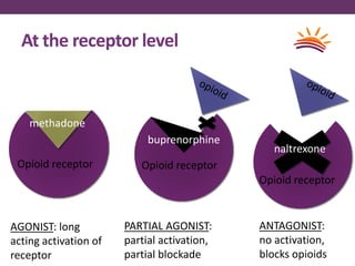 At the receptor level
methadone
Opioid receptor
naloxone
Opioid receptor
Opioid receptor
AGONIST: long
acting activation of
receptor
PARTIAL AGONIST:
partial activation,
partial blockade
ANTAGONIST:
no activation,
blocks opioids
naltrexone
buprenorphine
 