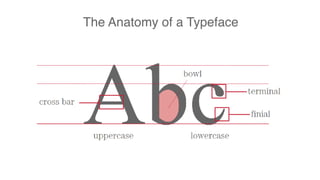 The Anatomy of a Typeface
 