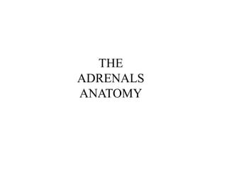 THE
ADRENALS
ANATOMY
 