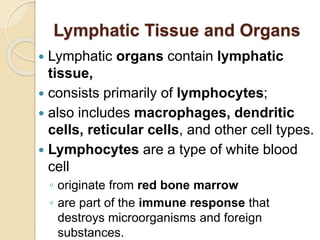 11. LYMPHATIC SYSTEM.pptx