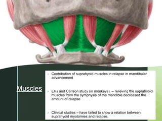 z
Muscles
 Contribution of suprahyoid muscles in relapse in mandibular
advancement
 Ellis and Carlson study (in monkeys) – relieving the suprahyoid
muscles from the symphysis of the mandible decreased the
amount of relapse
 Clinical studies – have failed to show a relation between
suprahyoid myotomies and relapse.
 
