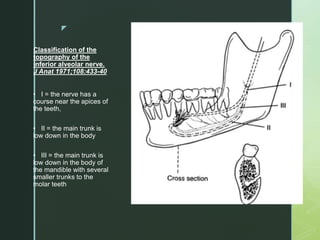 z
Classification of the
topography of the
inferior alveolar nerve.
J Anat 1971;108:433-40
• I = the nerve has a
course near the apices of
the teeth,
• II = the main trunk is
low down in the body
• III = the main trunk is
low down in the body of
the mandible with several
smaller trunks to the
molar teeth
 
