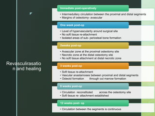 z
Revasculirasatio
n and healing
• Intermedullary circulation between the proximal and distal segments
• Margins of osteotomy- avascular
Immediate post-operatively
• Level of hypervascularity around surgical site
• No soft tissue re-attachment
• Isolated areas of sub- periosteal bone formation
One week post-op
• Avascular zone at the proximal osteotomy site
• Necrotic zone at the distal osteotomy site
• No soft tissue attachment at distal necrotic zone
2weeks post-op
• Soft tissue re-attachment
• Vascular anastamoses between proximal and distal segments
• Osteoid formation through out marrow formation
3 weeks post-op
• Circulation reconstituted across the osteotomy site
• Soft tissue re- attachment established
6 weeks post-op
• Circulation between the segments is continuous
12 weeks post- op
 