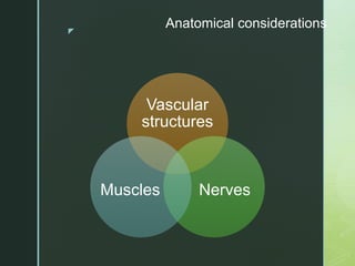 z
Anatomical considerations
Vascular
structures
Nerves
Muscles
 