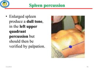 11. Final Abdominal Examination.ppt