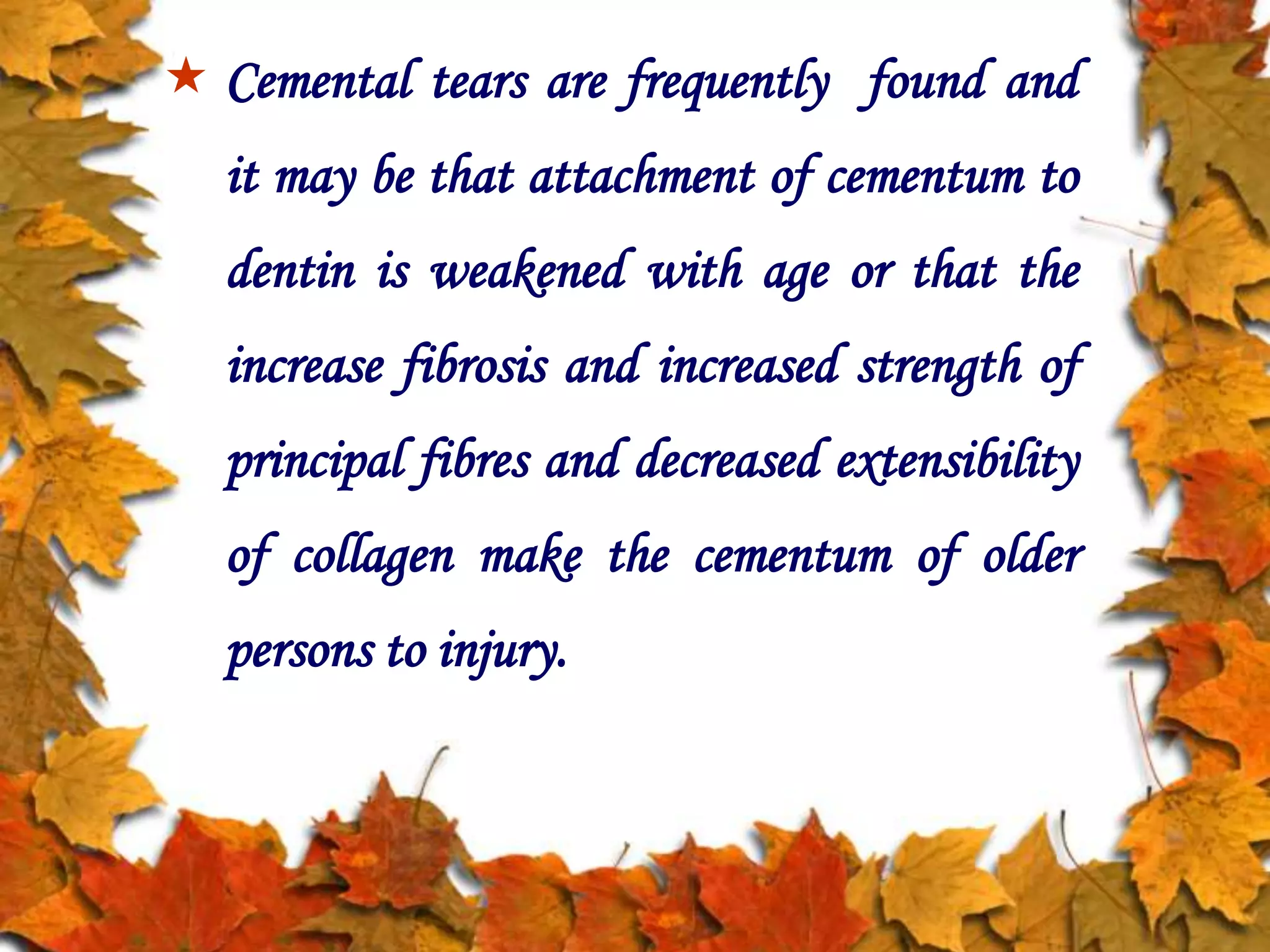  Cemental tears are frequently found and
it may be that attachment of cementum to
dentin is weakened with age or that the
increase fibrosis and increased strength of
principal fibres and decreased extensibility
of collagen make the cementum of older
persons to injury.
 