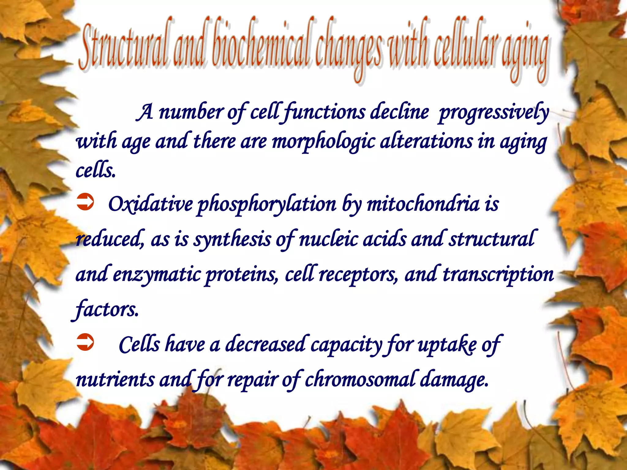 A number of cell functions decline progressively
with age and there are morphologic alterations in aging
cells.
 Oxidative phosphorylation by mitochondria is
reduced, as is synthesis of nucleic acids and structural
and enzymatic proteins, cell receptors, and transcription
factors.
 Cells have a decreased capacity for uptake of
nutrients and for repair of chromosomal damage.
 
