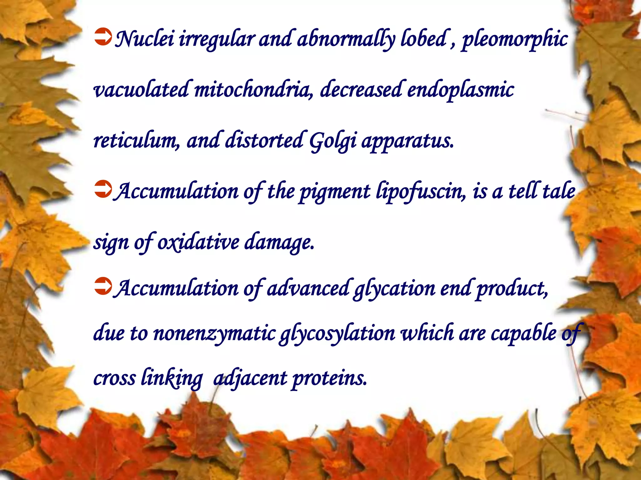 Nuclei irregular and abnormally lobed , pleomorphic
vacuolated mitochondria, decreased endoplasmic
reticulum, and distorted Golgi apparatus.
Accumulation of the pigment lipofuscin, is a tell tale
sign of oxidative damage.
Accumulation of advanced glycation end product,
due to nonenzymatic glycosylation which are capable of
cross linking adjacent proteins.
 