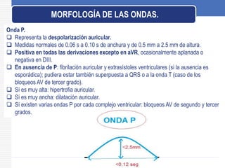 MORFOLOGÍA DE LAS ONDAS.
Onda P.
 Representa la despolarización auricular.
 Medidas normales de 0.06 s a 0.10 s de anchura y de 0.5 mm a 2.5 mm de altura.
 Positiva en todas las derivaciones excepto en aVR, ocasionalmente aplanada o
negativa en DIII.
 En ausencia de P: fibrilación auricular y extrasístoles ventriculares (si la ausencia es
esporádica); pudiera estar también superpuesta a QRS o a la onda T (caso de los
bloqueos AV de tercer grado).
 Sí es muy alta: hipertrofia auricular.
 Sí es muy ancha: dilatación auricular.
 Sí existen varias ondas P por cada complejo ventricular: bloqueos AV de segundo y tercer
grados.
 