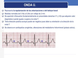  Representa la repolarización de las arborizaciones o del tabique basal.
 Medidas normales de 0.16s a 0.24s con voltaje de 2 mm.
 De aparición infrecuente (fundamentalmente en precordiales derechas V1 y V2) que adquiere valor
diagnóstico cuando iguala o supera a la onda T.
 Tiene dirección positiva aunque puede ser negativa pues debe su orientación a la dirección de la
onda T.
 Se observa en cardiopatías congénitas, alteraciones del metabolismo hidromineral (potasio sérico).
ONDA U.
 