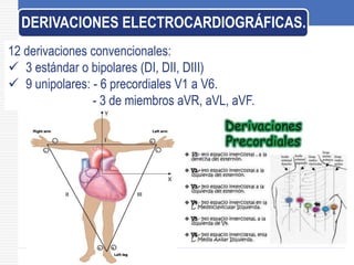 12 derivaciones convencionales:
 3 estándar o bipolares (DI, DII, DIII)
 9 unipolares: - 6 precordiales V1 a V6.
- 3 de miembros aVR, aVL, aVF.
DERIVACIONES ELECTROCARDIOGRÁFICAS.
 