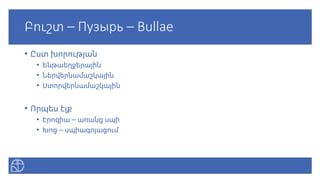 Բուշտ – Пузырь – Bullae
• Ըստ խորության
• Ենթաեղջերային
• Ներվերնամաշկային
• Ստորվերնամաշկային
• Որպես էլք
• Էրոզիա – առանց սպի
• Խոց – սպիագոյացում
 