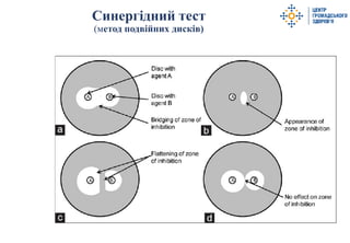 11 Синергідні тести.pdf