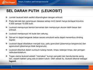SEL DARAH PUTIH (LEUKOSIT)
 Jumlah leukosit lebih sedikit dibandingkan dengan eritrosit.
 Pada laki-laki dan perempuan dewasa setiap mm3 darah hanya terdapat kira-kira
4.500 sampai 10.000 butir.
 Leukosit mempunyai bentuk bervariasi dan mempunyai ukuran lebih besar dari
eritrosit.
 Leukosit mempunyai inti bulat dan cekung.
 Sel-sel ini dapat bergerak bebas secara amuboid serta dapat menembus dinding
kapiler.
 Leukosit dapat dibedakan menjadi dua, yaitu granulosit (plasmanya bergranula) dan
agranulosit (plasmanya tidak bergranula).
 Leukosit dibentuk dalam sumsum tulang merah, limpa, kelenjar limpa, dan jaringan
retikuloendotelium.
 Tugas utama leukosit adalah ”memakan” kuman penyakit dan benda-benda asing
lain, seperti bakteri yang ada di dalam tubuh. Oleh sebab itu, leukosit dikenal sebagai
fagosit.
 