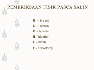 PEMERIKSAAN FISIK PASCA SALIN
B – breast
U - uterus
B - bowels
B - bladder
L - lochia
E - episiotomy
 