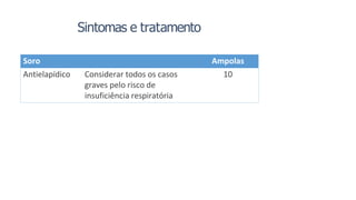 Soro Ampolas
Antielapídico Considerar todos os casos
graves pelo risco de
insuficiência respiratória
10
Sintomas e tratamento
 