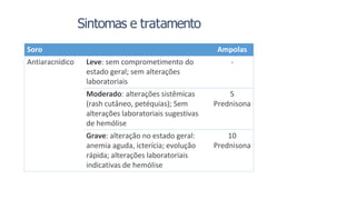 Soro Ampolas
Antiaracnídico Leve: sem comprometimento do
estado geral; sem alterações
laboratoriais
-
Moderado: alterações sistêmicas
(rash cutâneo, petéquias); Sem
alterações laboratoriais sugestivas
de hemólise
5
Prednisona
Grave: alteração no estado geral:
anemia aguda, icterícia; evolução
rápida; alterações laboratoriais
indicativas de hemólise
10
Prednisona
Sintomas e tratamento
 