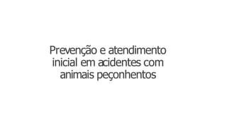 Prevenção e atendimento
inicial em acidentes com
animais peçonhentos
 