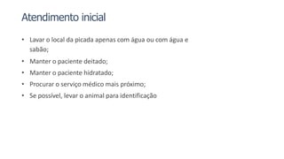 Atendimento inicial
• Lavar o local da picada apenas com água ou com água e
sabão;
• Manter o paciente deitado;
• Manter o paciente hidratado;
• Procurar o serviço médico mais próximo;
• Se possível, levar o animal para identificação
 