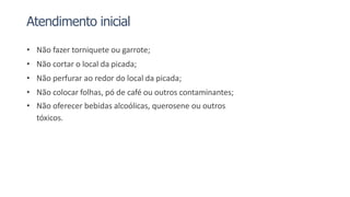 Atendimento inicial
• Não fazer torniquete ou garrote;
• Não cortar o local da picada;
• Não perfurar ao redor do local da picada;
• Não colocar folhas, pó de café ou outros contaminantes;
• Não oferecer bebidas alcoólicas, querosene ou outros
tóxicos.
 