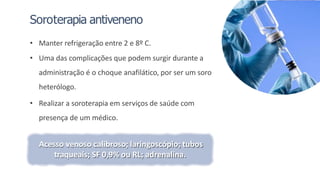 Soroterapia antiveneno
• Manter refrigeração entre 2 e 8º C.
• Uma das complicações que podem surgir durante a
administração é o choque anafilático, por ser um soro
heterólogo.
• Realizar a soroterapia em serviços de saúde com
presença de um médico.
Acesso venoso calibroso; laringoscópio; tubos
traqueais; SF 0,9% ou RL; adrenalina.
 