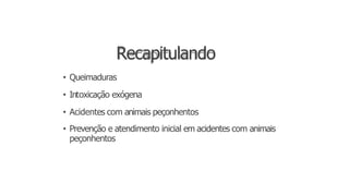 Recapitulando
• Queimaduras
• Intoxicação exógena
• Acidentes com animais peçonhentos
• Prevenção e atendimento inicial em acidentes com animais
peçonhentos
 