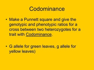 CodominanceMake a Punnett square and give the genotypic and phenotypic ratios for a cross between two heterozygotes for a trait with Codominance. G allele for green leaves, g allele for yellow leaves)