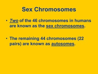 Sex ChromosomesTwo of the 46 chromosomes in humans are known as the sex chromosomes.The remaining 44 chromosomes (22 pairs) are known as autosomes.