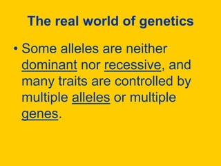 The real world of geneticsSome alleles are neither dominant nor recessive, and many traits are controlled by multiple alleles or multiple genes.