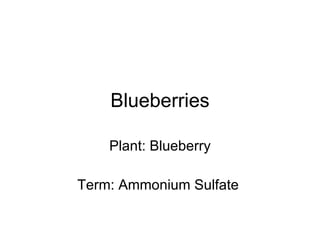 Blueberries Plant: Blueberry Term: Ammonium Sulfate  