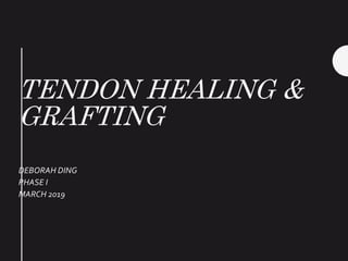 TENDON HEALING &
GRAFTING
DEBORAH DING
PHASE I
MARCH 2019
 