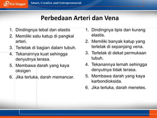 Perbedaan Arteri dan Vena
1. Dindingnya tebal dan elastis
2. Memiliki satu katup di pangkal
arteri.
3. Terletak di bagian dalam tubuh.
4. Tekanannya kuat sehingga
denyutnya terasa.
5. Membawa darah yang kaya
oksigen
6. Jika terluka, darah memancar.
1. Dindingnya tipis dan kurang
elastis.
2. Memiliki banyak katup yang
terletak di sepanjang vena.
3. Terletak di dekat permukaan
tubuh.
4. Tekanannya lemah sehingga
denyutnya tidak terasa.
5. Membawa darah yang kaya
karbondioksida.
6. Jika terluka, darah menetes.
 