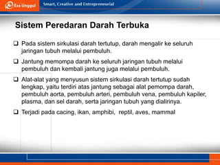 Sistem Peredaran Darah Terbuka
 Pada sistem sirkulasi darah tertutup, darah mengalir ke seluruh
jaringan tubuh melalui pembuluh.
 Jantung memompa darah ke seluruh jaringan tubuh melalui
pembuluh dan kembali jantung juga melalui pembuluh.
 Alat-alat yang menyusun sistem sirkulasi darah tertutup sudah
lengkap, yaitu terdiri atas jantung sebagai alat pemompa darah,
pembuluh aorta, pembuluh arteri, pembuluh vena, pembuluh kapiler,
plasma, dan sel darah, serta jaringan tubuh yang dialirinya.
 Terjadi pada cacing, ikan, amphibi, reptil, aves, mammal
 