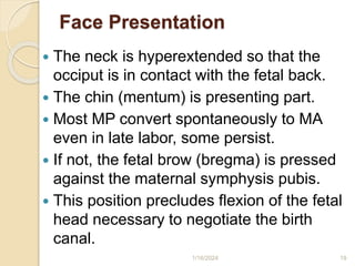 Face Presentation
 The neck is hyperextended so that the
occiput is in contact with the fetal back.
 The chin (mentum) is presenting part.
 Most MP convert spontaneously to MA
even in late labor, some persist.
 If not, the fetal brow (bregma) is pressed
against the maternal symphysis pubis.
 This position precludes flexion of the fetal
head necessary to negotiate the birth
canal.
1/16/2024 19
 