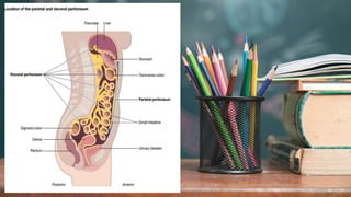 2 / 1 1 / 2 0 2 4
12
 