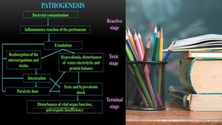 2 / 1 1 / 2 0 2 4
13
 