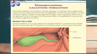 2 / 1 1 / 2 0 2 4
28
 