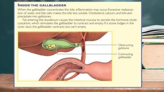 2 / 1 1 / 2 0 2 4
29
 